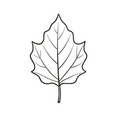Fototapeta premium Poplar Leaf Vector – Simple Illustration, Botanical Clipart, Nature Silhouette