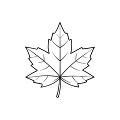 Sycamore Leaf Vector – Detailed Illustration, Silhouette, Outline Clipart