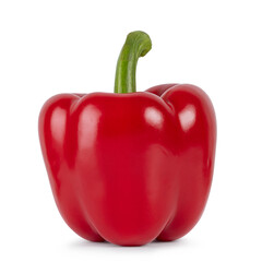 Red bell pepper standing. Isolated on a white background