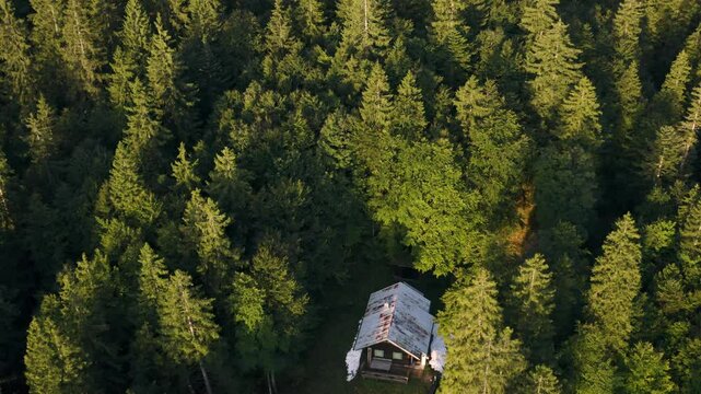 Drone aerial video with a single cabin surrounded by pine forest in the Bavarian Alps, Germany
