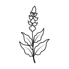 Black and white floral silhouettes with leaves and branches on a white background