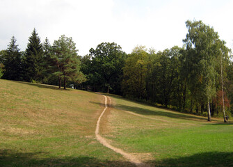 Winding dirt path through a scenic green meadow with trees on a sunny day