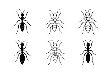 Six Black and White Ant Illustrations