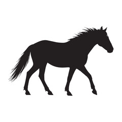 horse silhouette isolated on white