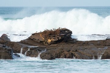 Seascape with a strong wave coming. Cantabrian sea, Spain