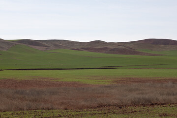 hills and sky full of green grass and red plants