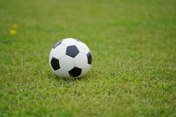Fototapeta premium Dirty soccer ball on green football field, space for text.
