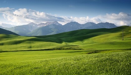 Fototapeta premium lush green field with distant mountains