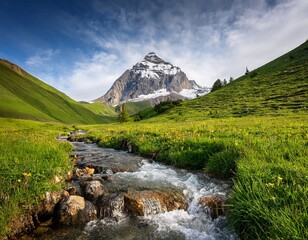 Fototapeta premium alpine meadow stream and majestic mountain peak