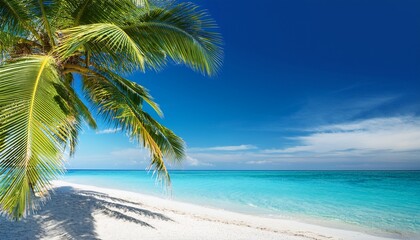 Fototapeta na wymiar tropical beach with palm tree and turquoise sea under clear blue sky