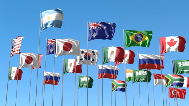 Video loop G20 country flags waving in the sky