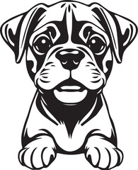 Boxer puppy. Hand drawn vector illustration
