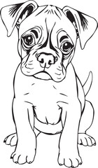 Boxer puppy. Hand drawn vector illustration
