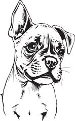 Boxer puppy. Hand drawn vector illustration