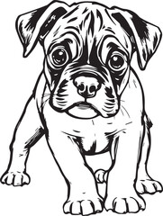 Boxer puppy. Hand drawn vector illustration