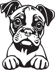Boxer puppy. Hand drawn vector illustration