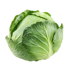 Fototapeta premium Fresh green cabbage isolated on a white background perfect for culinary and nutritional uses, cabbageisolated on white background