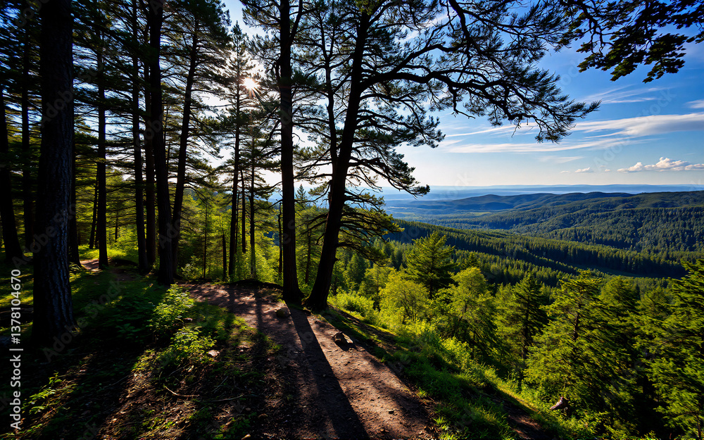 Poster sunlight streams through tall forest trees, casting long shadows on the trail. a scenic vista of mou