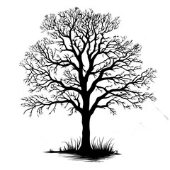 A tree with no leaves in front of a moon isolated on a transparent background