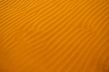 Closeup of sand ripples on a beach. Natural rhythmic wave like pattern formed by wind and water. Textured background displaying the delicate wavy texture of coastal landscape.