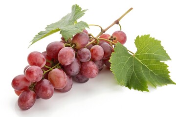 Fototapeta premium Juicy red grapes on the vine a vibrant bunch against a crisp white background showcasing plump ripe
