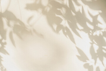 Leaf shadow and light on wall beige background. Nature tropical gray leaves plant and tree branch shade with sunlight on wall texture for background wallpaper and design, shadow overlay effect