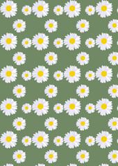Daisies Illustration pattern