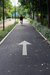 Fototapeta premium Cyclist on Dedicated Bike Path Arrow Sign of excellence in splendor beyond compare with grace