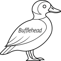 Bafflehead Outlined Duck Isolated on Transparent Background