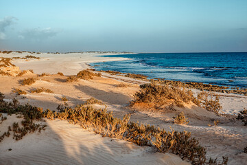 White dunes of Socotra island