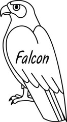 Simple Falcon Outline Art with Sharp Eyes and Transparent Background