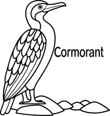 Cormorant Bird Outline on Rocks with Transparent Background Wildlife