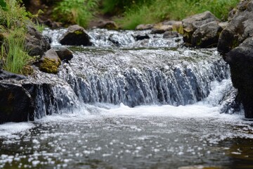 Fototapeta premium Serene rocky stream with waterfall surrounded by lush greenery in tranquil natural setting