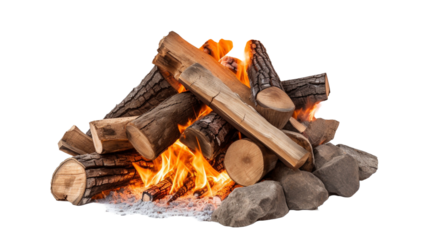 Campfire burning wood on transparent png background.

