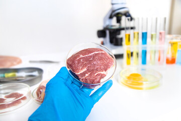 Examine meat in the laboratory. Selective focus.