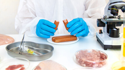 Examine meat in the laboratory. Selective focus.