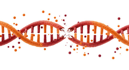 Isolated Broken DNA Strand with Scattered Fragments