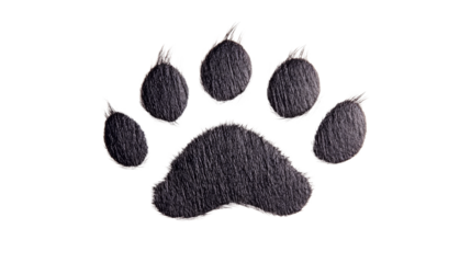Furry paw print illustration, canine texture on black, cut out transparent
