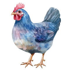 A watercolor painting of cordon bleu, isolated on a white background. Cordon bleu vector

