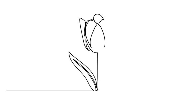 Tulip one line drawing.Abstract flower continuous line. Minimalist contour drawing of tulip. Continuous line drawing of flower tulip.Hand drawn sketch of flower with leaves.