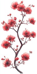Delicate Cherry Blossom Branch Blooms with Radiant Pink Flowers and Buds on a White Background for Nature Lovers and Art Enthusiasts