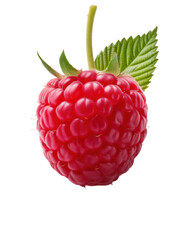 Juicy raspberry with vibrant green leaf, perfect for fresh food packaging design.