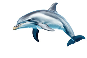 Fototapeta premium Graceful bottlenose dolphin swimming in clear blue waters, cut out