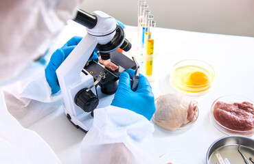 Examine meat in the laboratory. Selective focus.