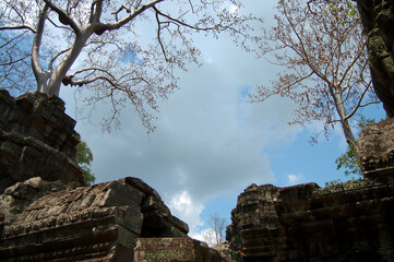 Naklejka premium Tree roots and Ancient ruins antique building Prasat Ta Prohm or Ancestor Brahma temple of Angkor Wat for Cambodian people travelers travel visit respect praying at Angkor Thom in Siem Reap, Cambodia
