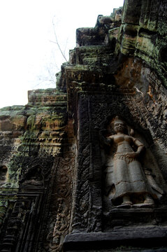 Sculpture carving figure apsaras or apsara angel deity female spirit of clouds waters and superb art of dancing in Prasat Ta Prohm or Ancestor Brahma temple of Angkor Thom Wat in Siem Reap, Cambodia