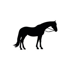 A black and white vector silhouette of a horse peacefully grazing on a white background