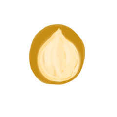 Macadamia nut illustration 