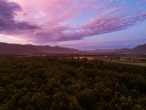 pink predawn light over eucalyptus forest in rural Australia with hills on horizon in hunter valley