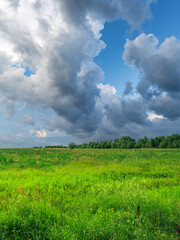 A field of grass is covered in clouds